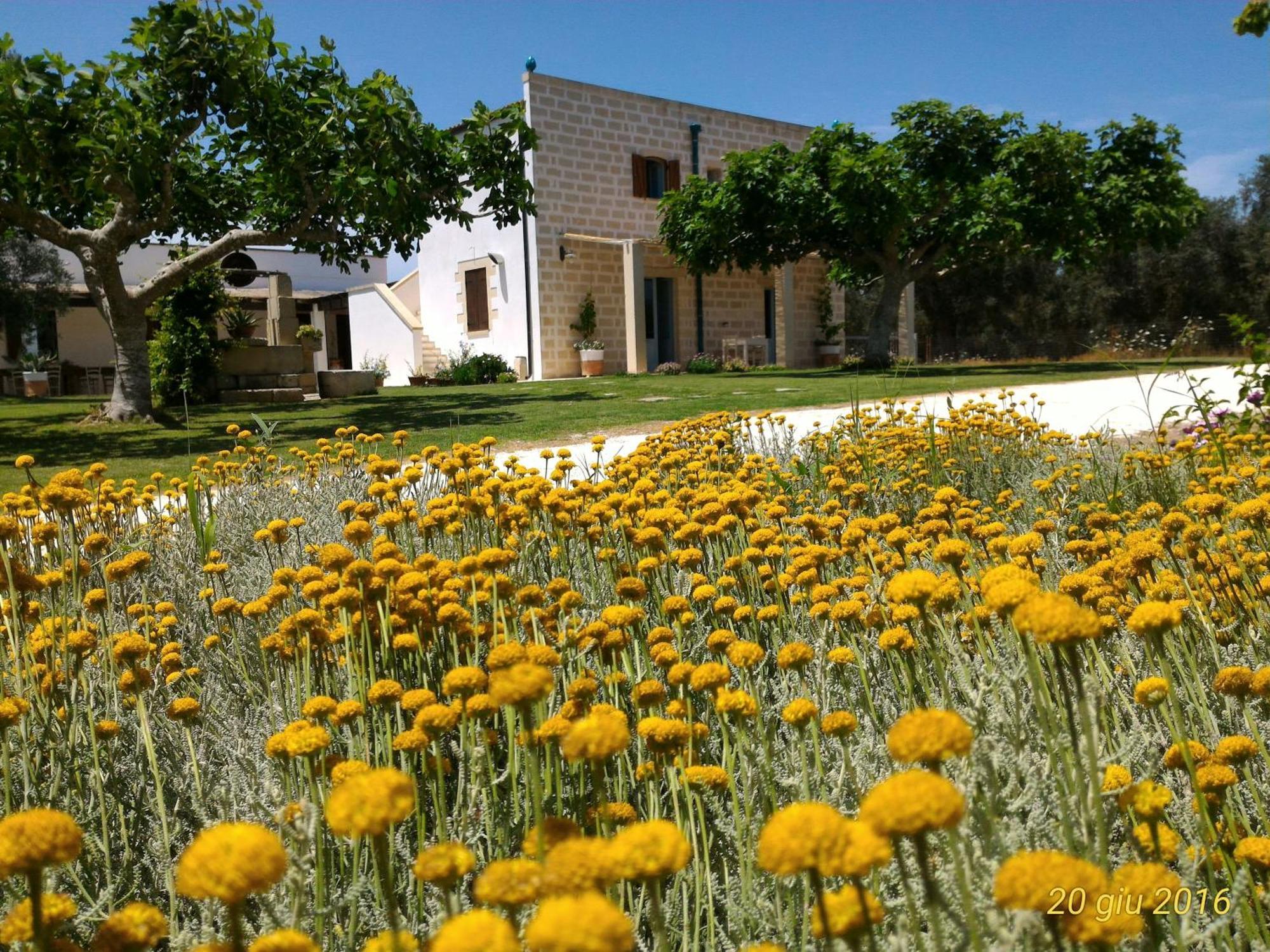 Masseria Vignenove Uggiano La Chiesa Zewnętrze zdjęcie