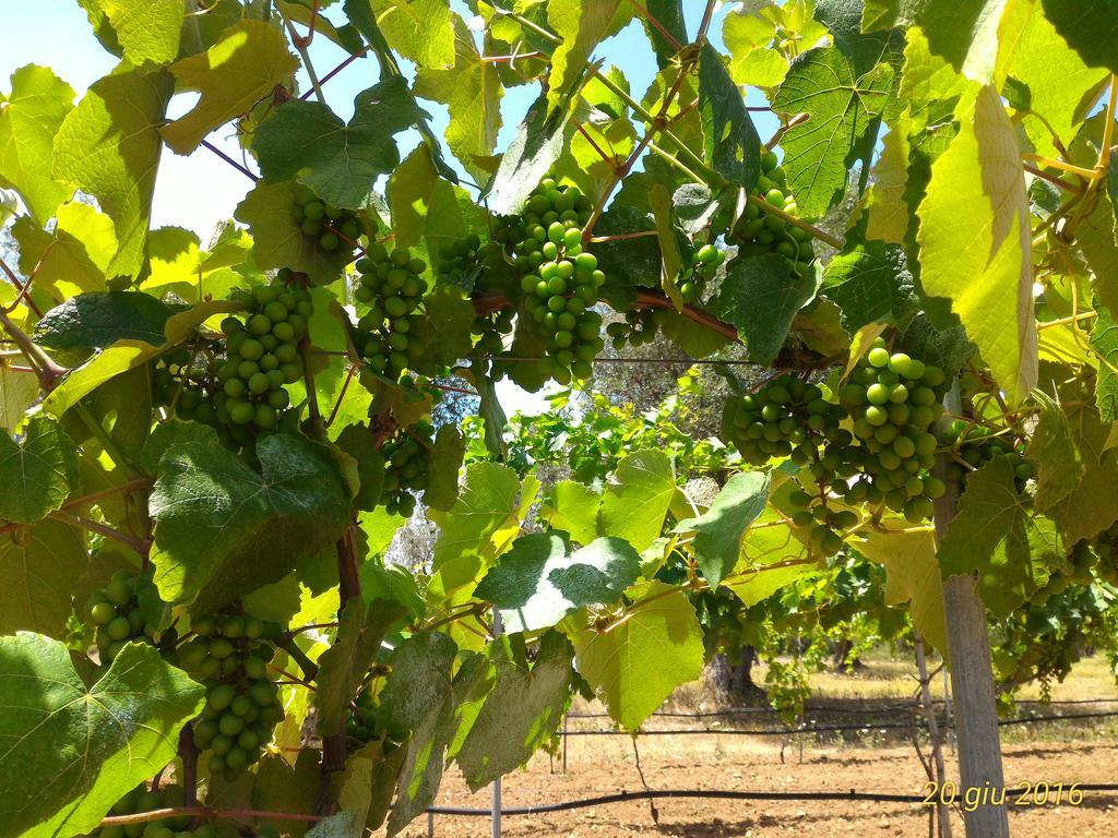 Masseria Vignenove Uggiano La Chiesa Zewnętrze zdjęcie