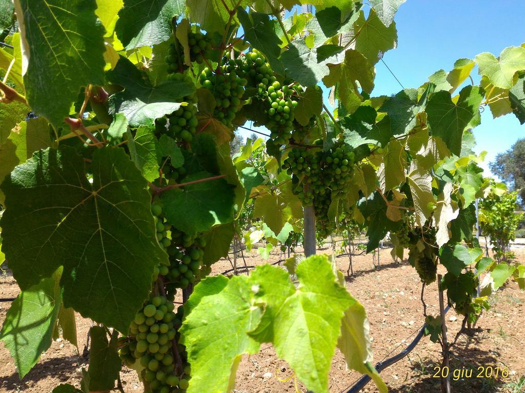 Masseria Vignenove Uggiano La Chiesa Zewnętrze zdjęcie